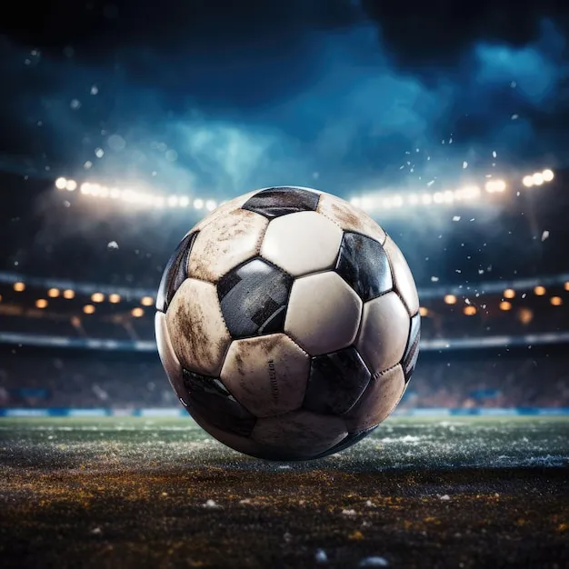 MK体育赛事直播现场